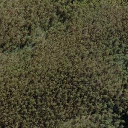Satellite imagery of Camels Hump, AU