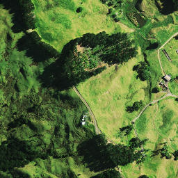 Satellite imagery of T (Mangamuka SD), NZ