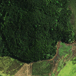 Satellite imagery of Takapuna Pa, NZ