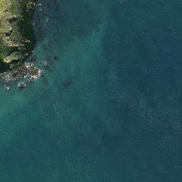Satellite imagery of Otara Point, NZ