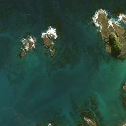 Satellite imagery of Taukawau Point, NZ