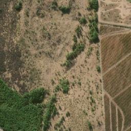 Satellite imagery of Cerro Caupolicán, CL