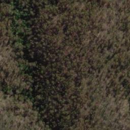 Satellite imagery of The Bald Hill, AU