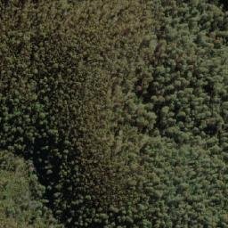 Satellite imagery of survey_point, AU
