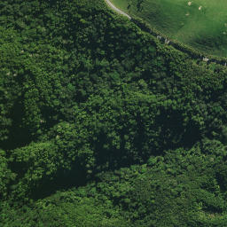 Satellite imagery of 18 KIRIPAKA, NZ