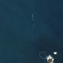 Satellite imagery of Paparahi Point, NZ