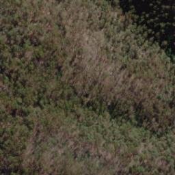 Satellite imagery of The Bald Hill, AU