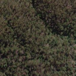 Satellite imagery of The Bald Hill, AU