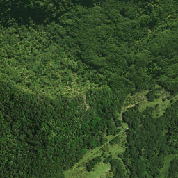 Satellite imagery of Pareroa Pa, NZ