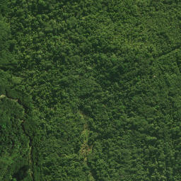 Satellite imagery of Pareroa Pa, NZ