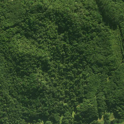 Satellite imagery of Pareroa Pa, NZ