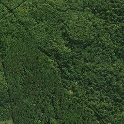 Satellite imagery of Ngararatahi Pa, NZ