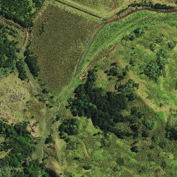 Satellite imagery of Te Mata Point, NZ