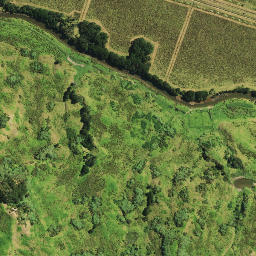 Satellite imagery of Te Mata Point, NZ