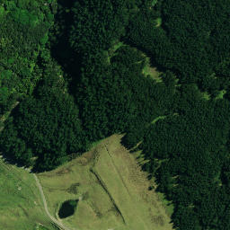 Satellite imagery of PUKETUTU, NZ