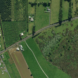 Satellite imagery of Pakinga Pa, NZ