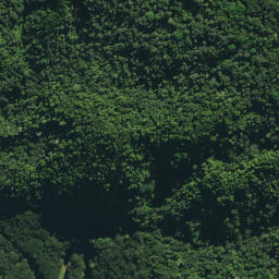 Satellite imagery of 18 KIRIPAKA, NZ
