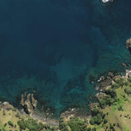 Satellite imagery of Paparahi Point, NZ