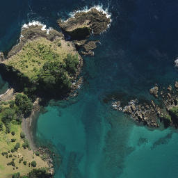 Satellite imagery of Paparahi Point, NZ