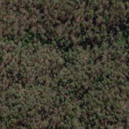 Satellite imagery of The Bald Hill, AU