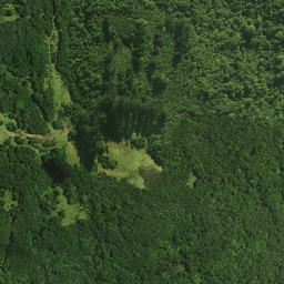 Satellite imagery of Pareroa Pa, NZ