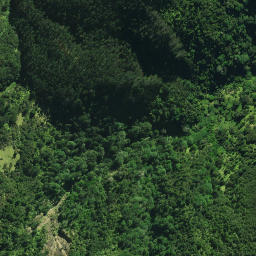 Satellite imagery of 26 HURUIKI, NZ