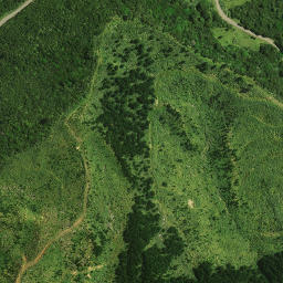 Satellite imagery of Pareroa Pa, NZ