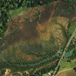 Satellite imagery of Te Mata Point, NZ