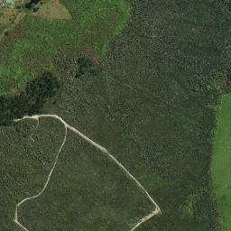 Satellite imagery of Pakinga Pa, NZ