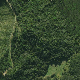 Satellite imagery of G1 TOTARA, NZ