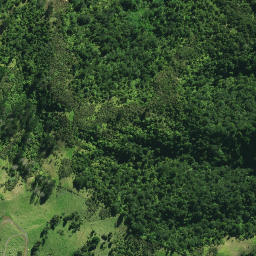 Satellite imagery of 26 HURUIKI, NZ