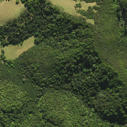 Satellite imagery of Okurekureia Pa, NZ