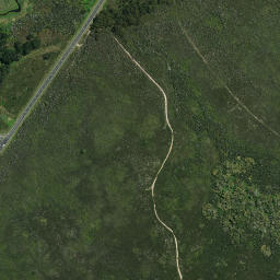 Satellite imagery of C1 WHAKARUANGANGANA, NZ