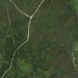 Satellite imagery of C1 WHAKARUANGANGANA, NZ