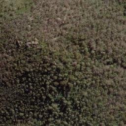 Satellite imagery of Mount Eliza, AU