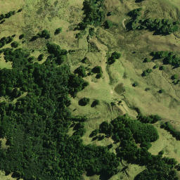 Satellite imagery of 1482, NZ