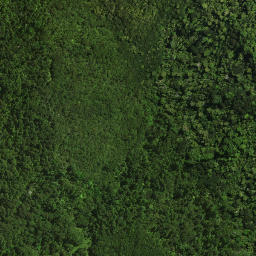 Satellite imagery of Te Karoto Pa, NZ