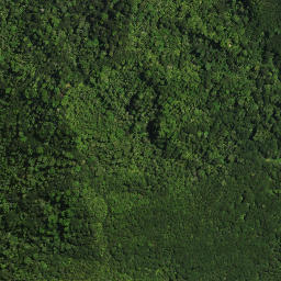 Satellite imagery of Te Karoto Pa, NZ