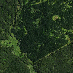 Satellite imagery of Te Karoto Pa, NZ