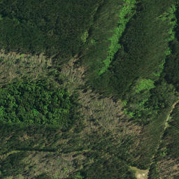 Satellite imagery of 27A TARAKAHU, NZ