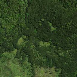 Satellite imagery of Te Karoto Pa, NZ
