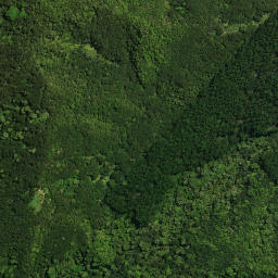 Satellite imagery of Te Karoto Pa, NZ