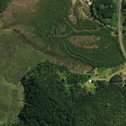 Satellite imagery of Puketauanui Pa, NZ