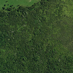 Satellite imagery of TE OI, NZ