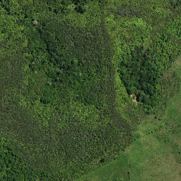 Satellite imagery of TE OI, NZ