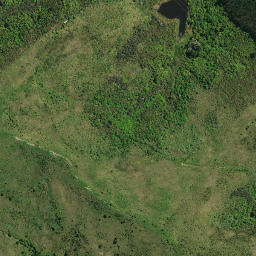 Satellite imagery of TE OI, NZ