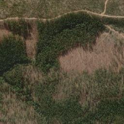 Satellite imagery of Cerro Pantanillos, CL