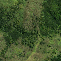 Satellite imagery of Te Karoto Pa, NZ