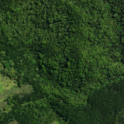 Satellite imagery of Te Karoto Pa, NZ