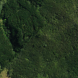 Satellite imagery of Taumatakanae Point, NZ
